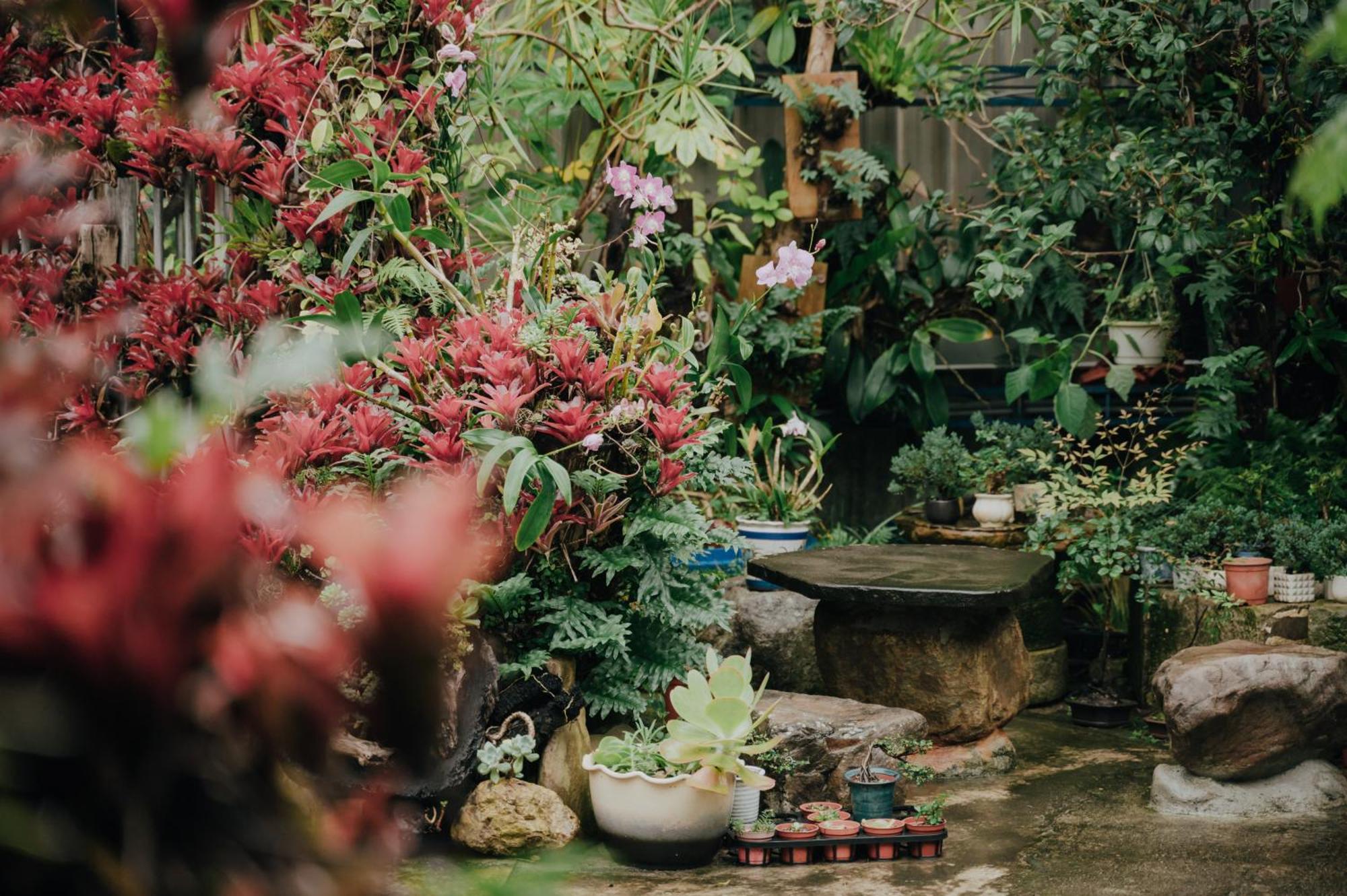 蘊慢築 茶花藝主題民宿 Yun Man Zhu Homestay Gongguan Extérieur photo